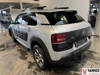 Citroën C4 CACTUS picture 11