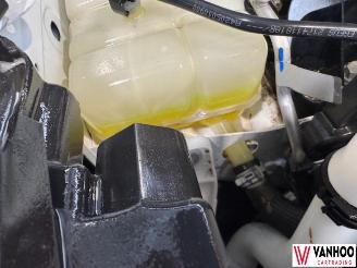 Renault Kangoo  picture 12