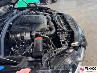 Jaguar F-Pace  picture 11