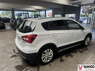 Suzuki SX4 S-CROSS picture 5