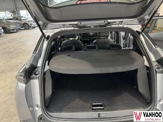 Peugeot 2008  picture 16