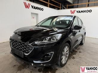 damaged passenger cars Ford Kuga  2021/1