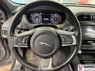 Jaguar F-Pace  picture 15