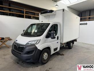 Voiture accidenté Opel Movano  2022/9