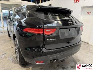 Jaguar F-Pace  picture 7