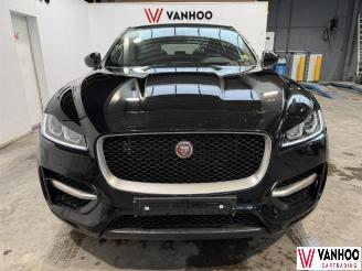 Jaguar F-Pace  picture 2