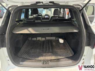 Ford Kuga  picture 13