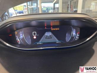 Peugeot 3008  picture 19