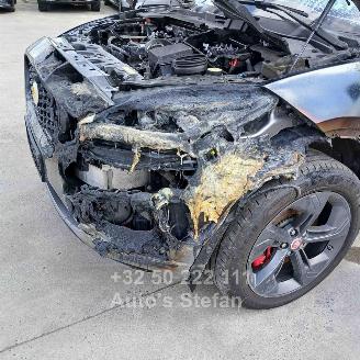 Jaguar E-Pace P 300E AWD picture 21