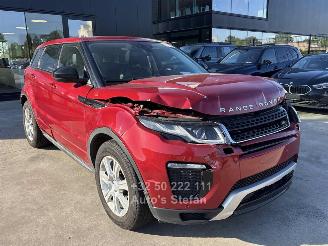skadebil auto Land Rover Range Rover ROVER EVOQUE 2019/4