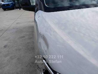 Citroën Berlingo XTR picture 33