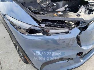 Ford Mustang MACH-E PREMIUM picture 22