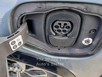 Ford Mustang MACH-E PREMIUM picture 33