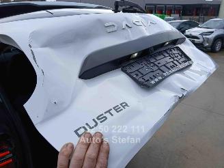 Dacia Duster JOURNEY picture 21