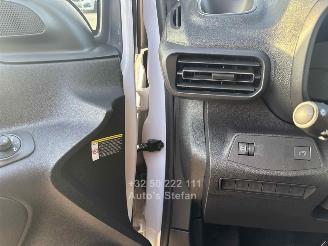 Citroën Berlingo  picture 28