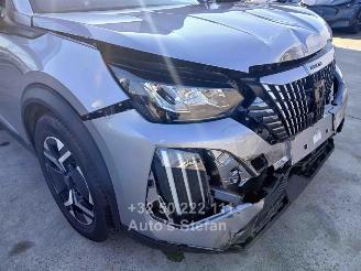 Peugeot 2008  picture 22