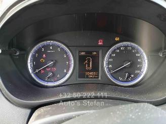 Suzuki SX4 S-CROSS picture 14