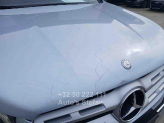 Mercedes X 350 4-MATIC picture 39