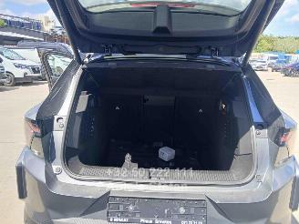 Renault Scenic E-TECH picture 11