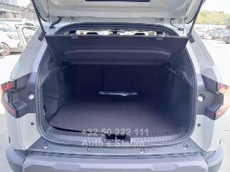 Dacia Duster JOURNEY picture 21