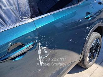 Nissan Qashqai E-POWER BUSINESS PREMIUM picture 26