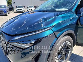Nissan Qashqai E-POWER BUSINESS PREMIUM picture 30