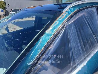 Nissan Qashqai E-POWER BUSINESS PREMIUM picture 27