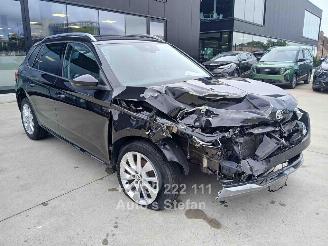Schadeauto Skoda Kamiq AMBITION 2024/6