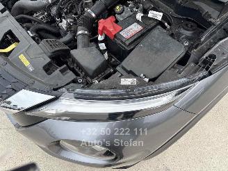 Nissan Juke BUSINESS ACCESS picture 9