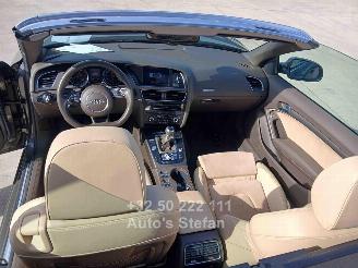 Audi A5 CABRIO picture 25