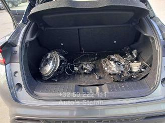 Nissan Juke  picture 21