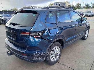 Skoda Karoq AMBITION picture 6