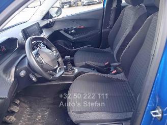 Peugeot 2008 ACTIVE picture 13