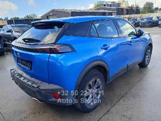 Peugeot 2008 ACTIVE picture 6