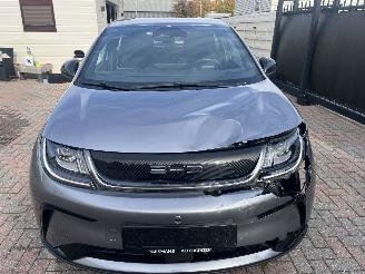 BYD Dolphin ELEKTRO LEDER-CAMERA-KLIMATRONIK picture 7