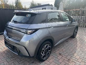 BYD Dolphin ELEKTRO LEDER-CAMERA-KLIMATRONIK picture 3