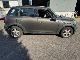 Mini Countryman 1.6 Panoramadak picture 3