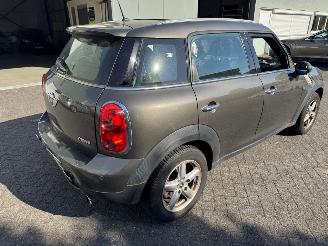 Mini Countryman 1.6 Panoramadak picture 4