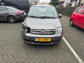 Fiat Panda 1.2 Edizione Cool Airco picture 2