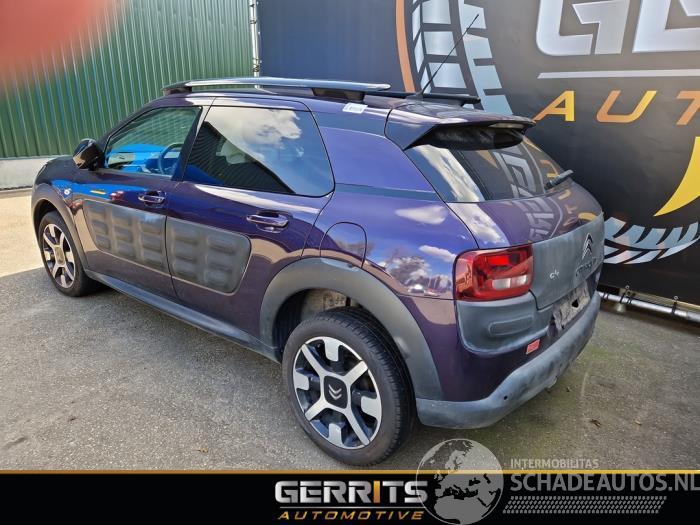 Citroën C4 cactus C4 Cactus (0B/0P), Hatchback 5-drs, 2014 1.2 PureTech 110 12V
