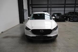 Mazda CX-30 SUV picture 7