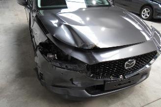 Mazda CX-30 SUV picture 8