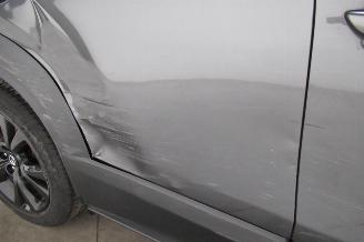 Mazda CX-30 SUV picture 19