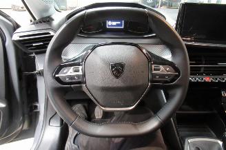 Peugeot 208 SEDAN picture 21