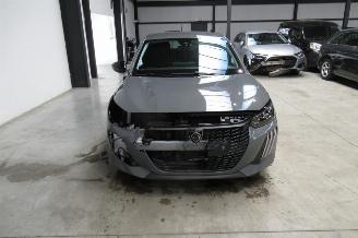 Peugeot 208 SEDAN picture 7