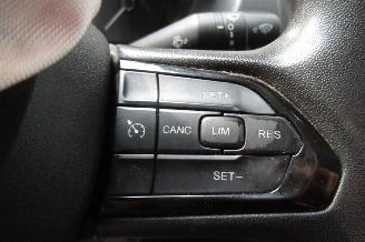 Fiat Ducato CAMIONETTE picture 20