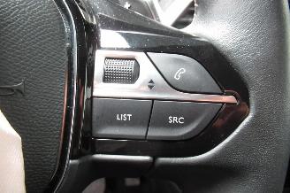 Peugeot 3008 SUV picture 20