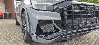Audi Q8  picture 21