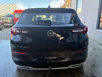 Opel Grandland OPEL GRANDLAND X 2.0D 2019 picture 6