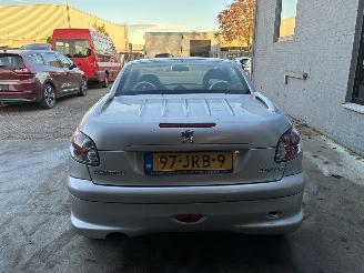 Peugeot 206 PEUGEOT 206cc 2004 1.6I picture 9